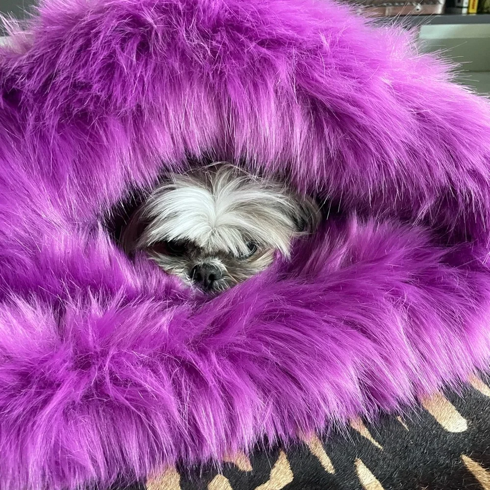 Pet Bed M size